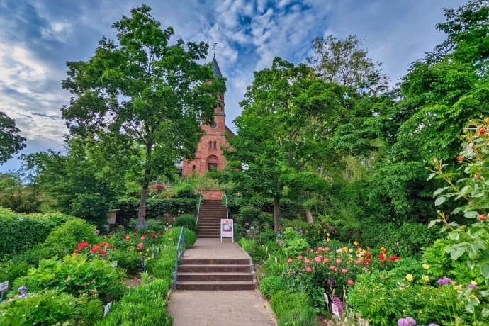 Lorsch Pfingstrosengarten, Pfingstrosentage Pfingstrosen kaufen Lorsch